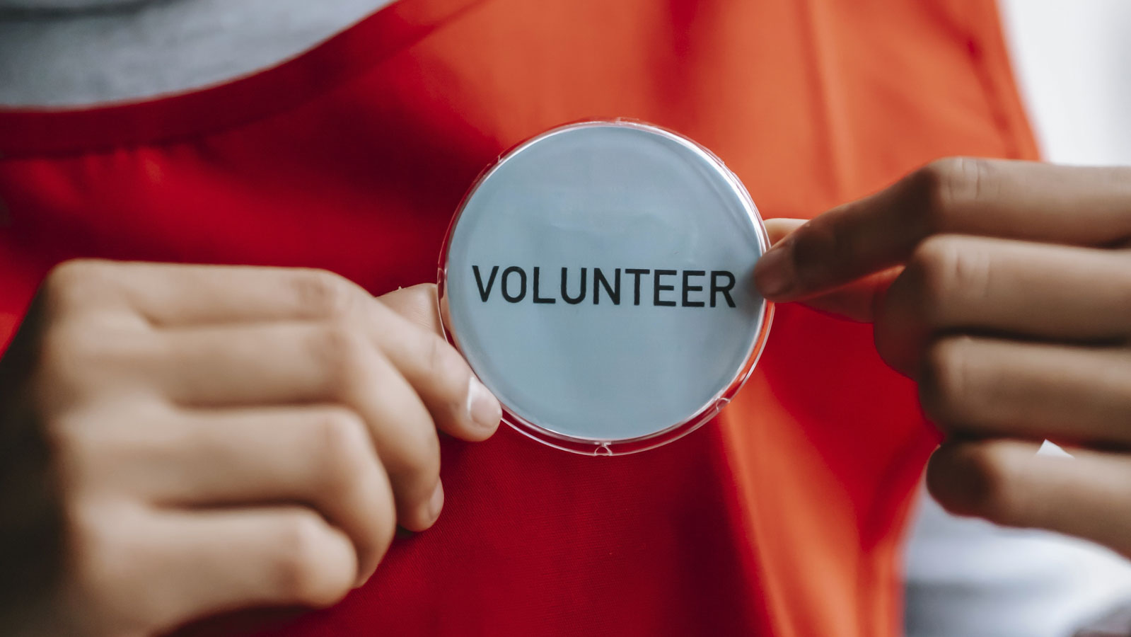 Photo of a badge with the word 'volunteer' on a red t-shirt being held by two hands